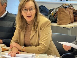 Ada Colic, Leadpartner